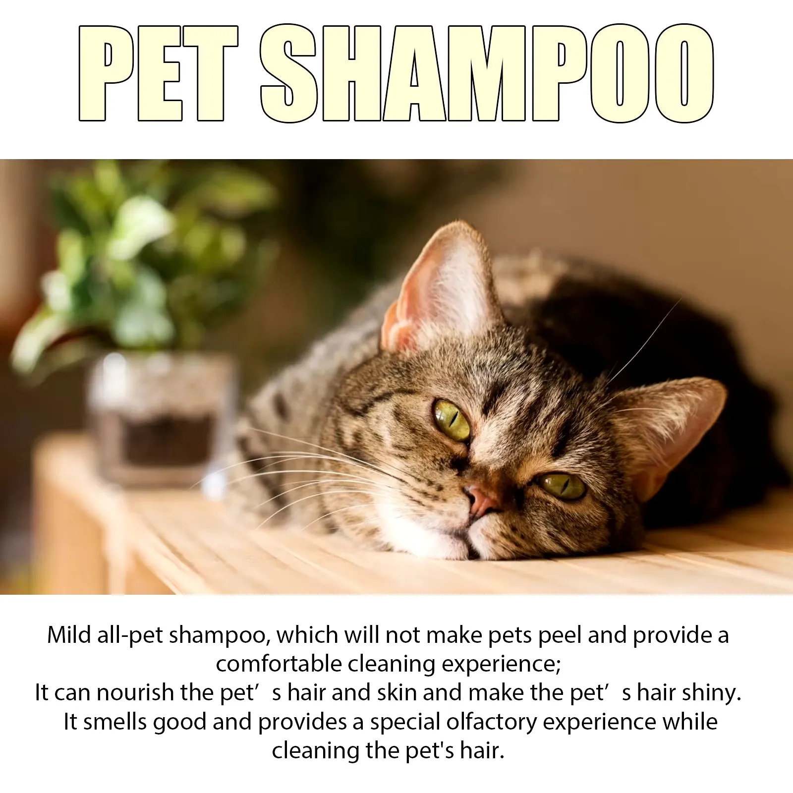 300Ml Pet Shampoo Dog Shampoo and Coat Wash for Hydrating Cleansing and Adding to Pet Hair