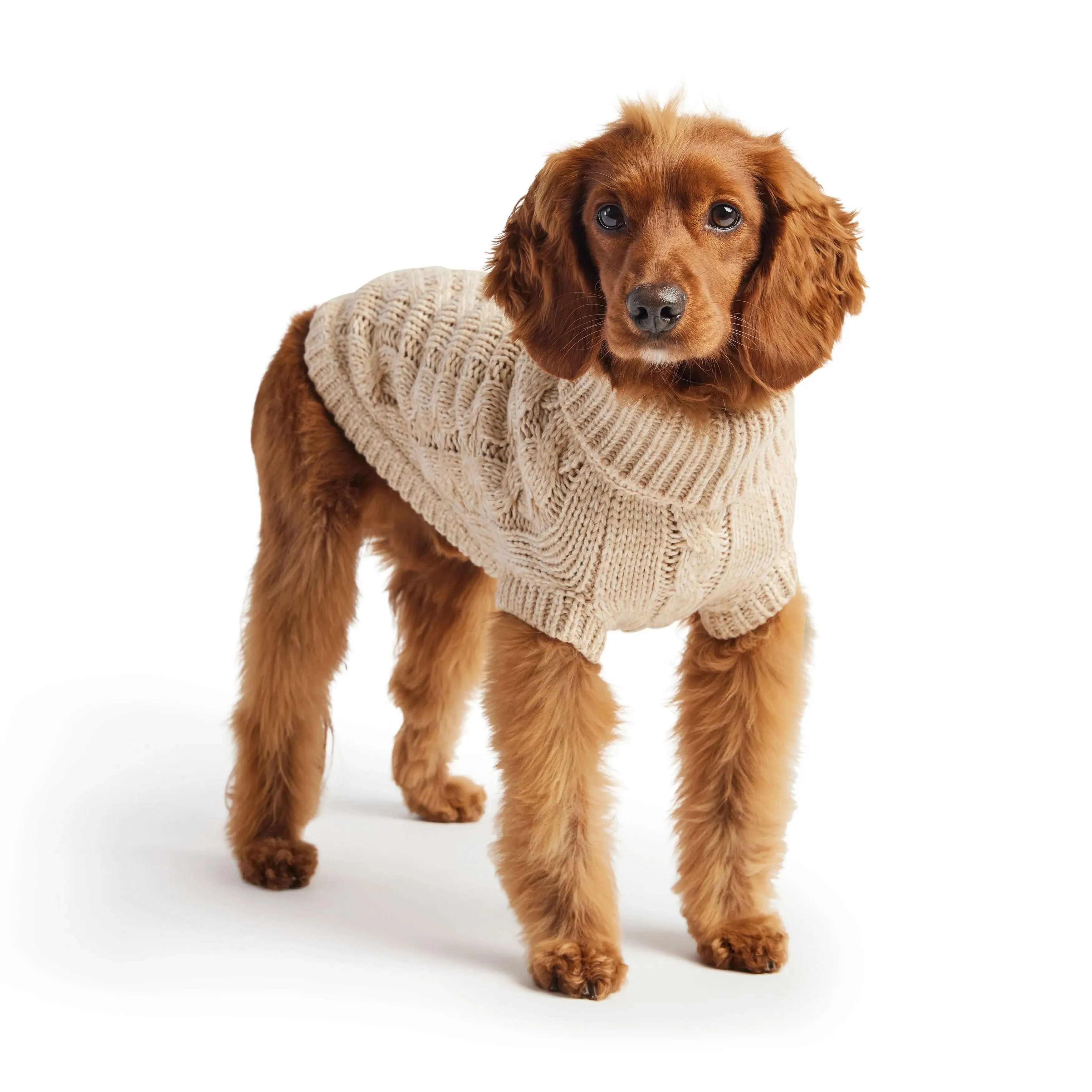 Classic Chalet Cozy Dog Sweater