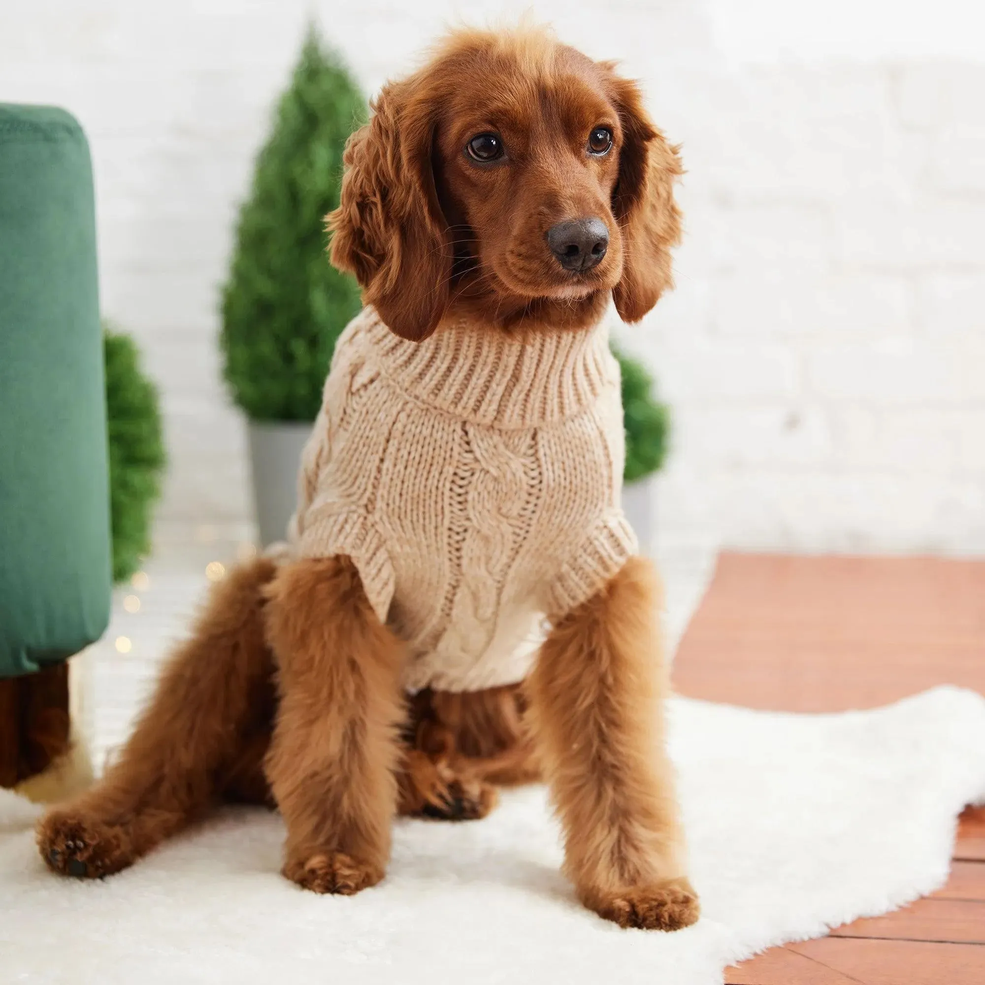 Classic Chalet Cozy Dog Sweater