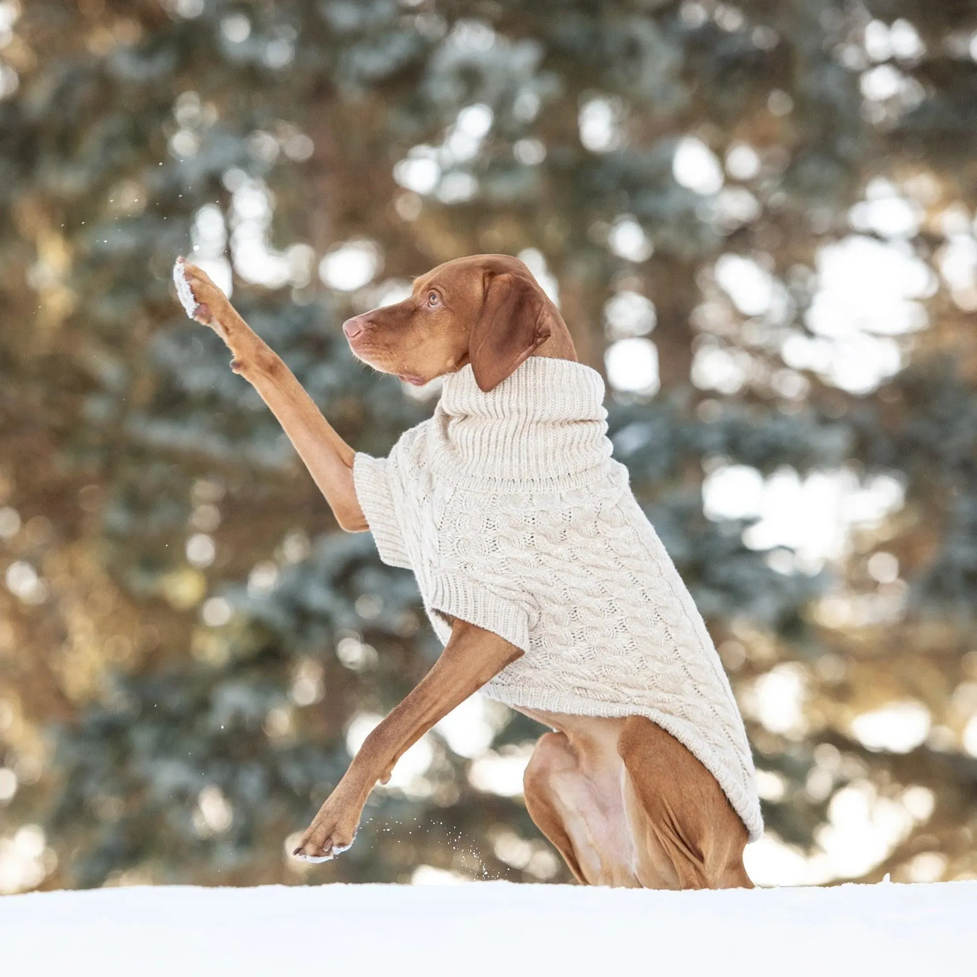 Classic Chalet Cozy Dog Sweater