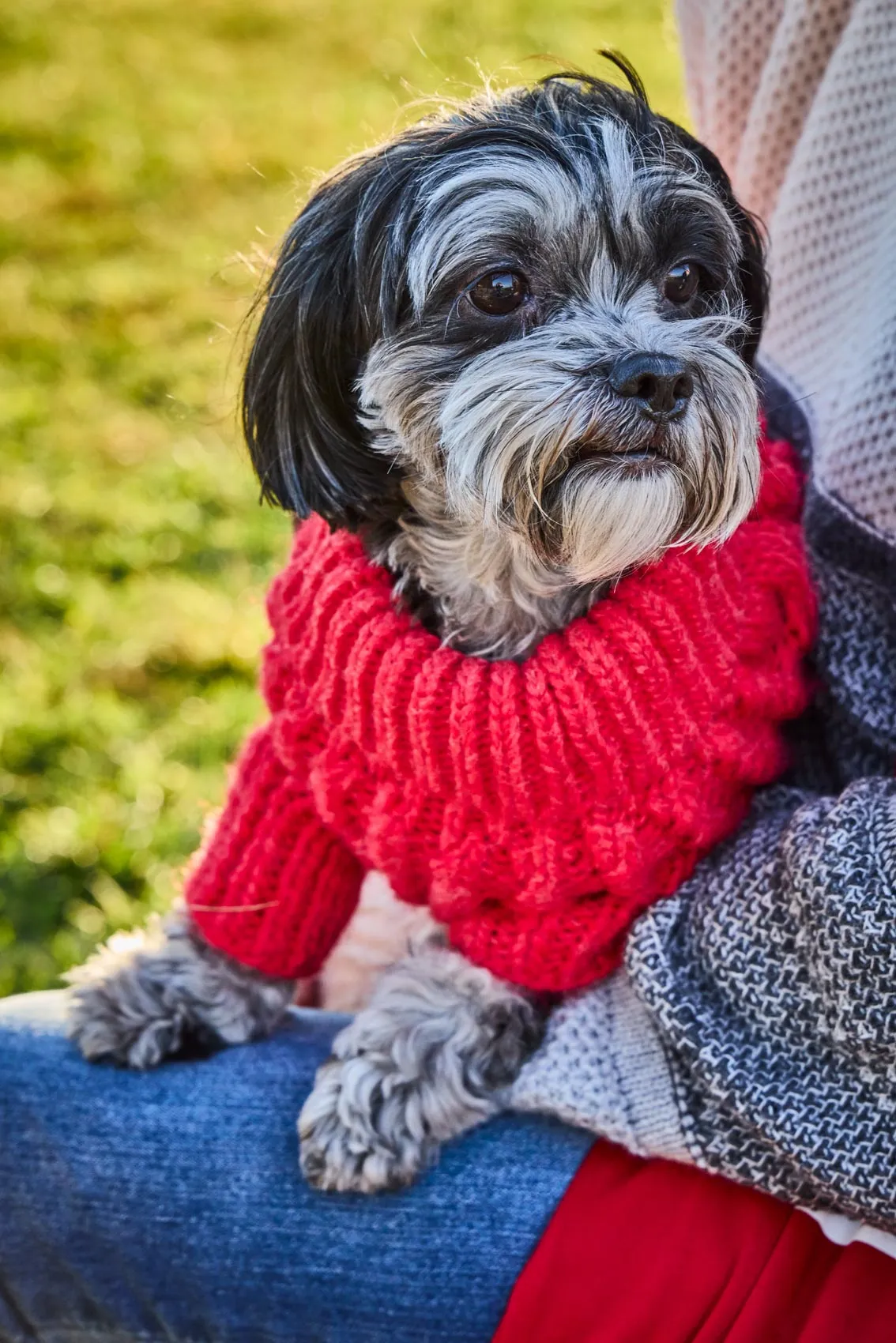 Fisherman Sweater