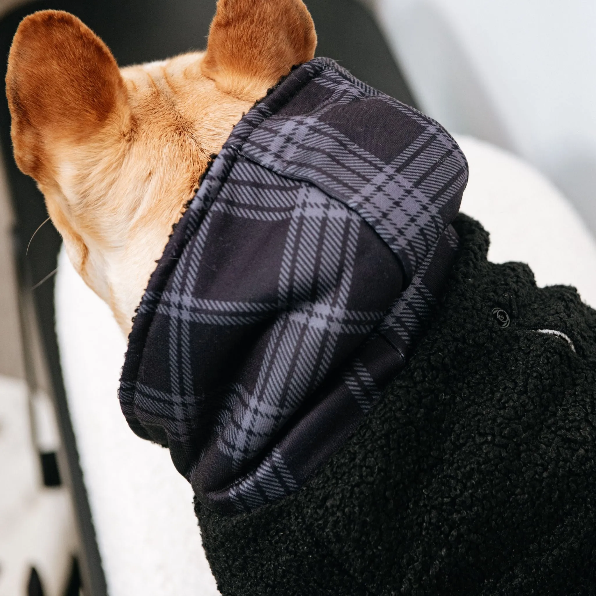 Frenchie Dog Hoodie - Black Plaid