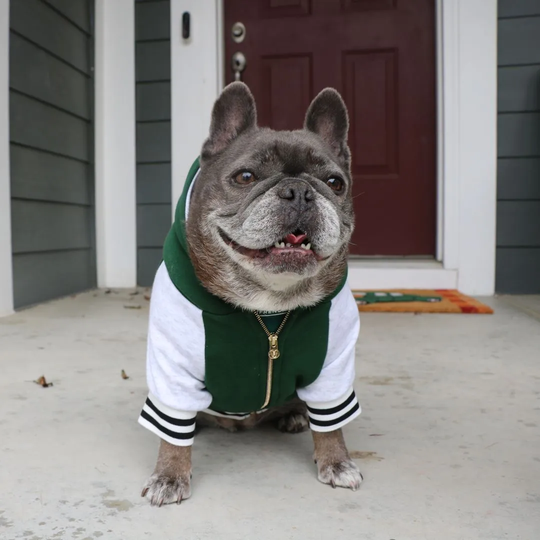 Frenchie Dog Hoodie - Emerald City Varsity