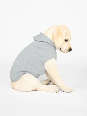 The Cashmere Dog Hoodie