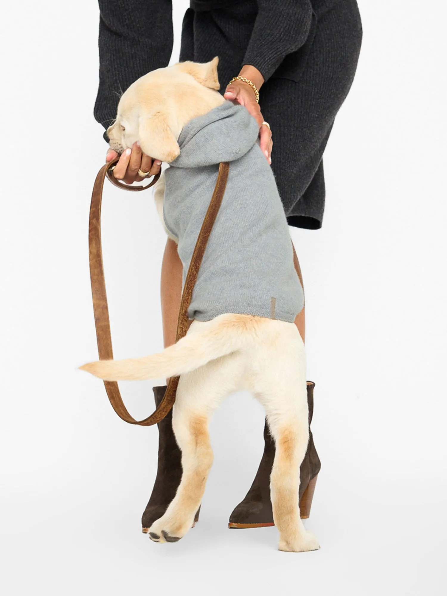 The Cashmere Dog Hoodie