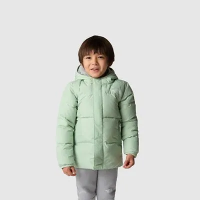 The North Face Toddlers North Down Hooded Jacket